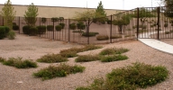 7' tall common area security fencing
