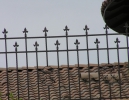 ornamental fencing with fleur-de-lis finials